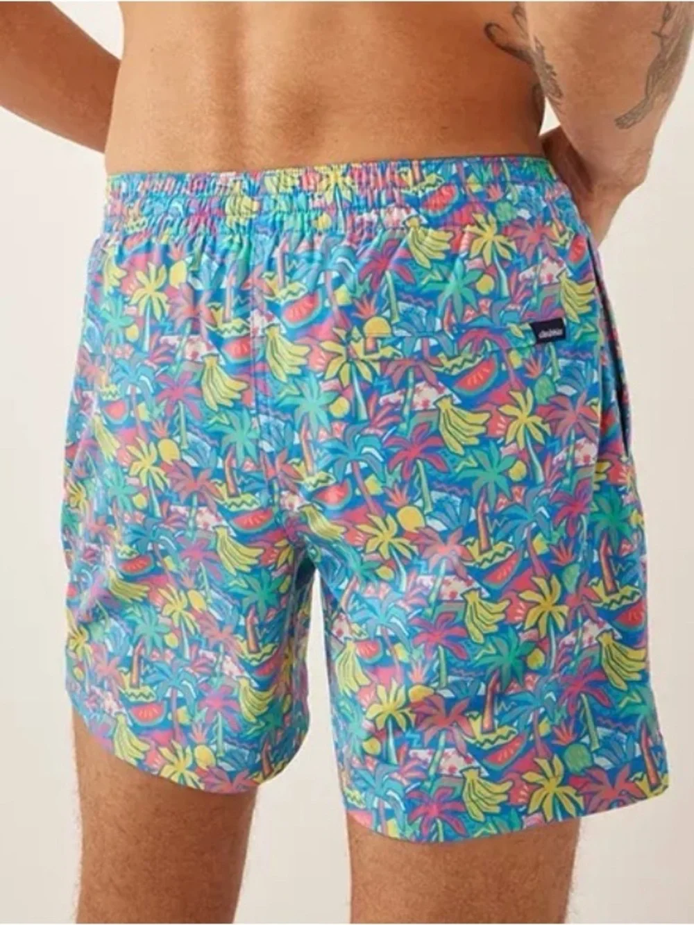Chubbies “Blue Fruit” Swim trunks